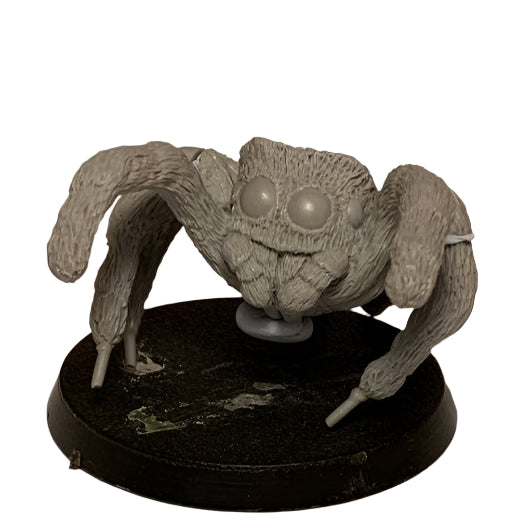 Giant Jumping Spider