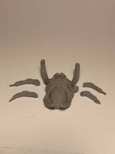 Load image into Gallery viewer, Giant Jumping Spider

